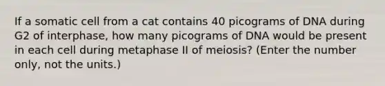 If a somatic cell from a cat contains 40 picograms of DNA during G2 of interphase, how many picograms of DNA would be present in each cell during metaphase II of meiosis? (Enter the number only, not the units.)