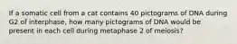 If a somatic cell from a cat contains 40 pictograms of DNA during G2 of interphase, how many pictograms of DNA would be present in each cell during metaphase 2 of meiosis?