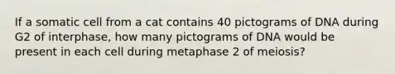 If a somatic cell from a cat contains 40 pictograms of DNA during G2 of interphase, how many pictograms of DNA would be present in each cell during metaphase 2 of meiosis?