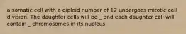 a somatic cell with a diploid number of 12 undergoes mitotic cell division. The daughter cells will be _ and each daughter cell will contain _ chromosomes in its nucleus