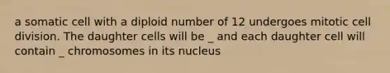 a somatic cell with a diploid number of 12 undergoes mitotic cell division. The daughter cells will be _ and each daughter cell will contain _ chromosomes in its nucleus