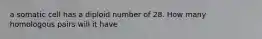 a somatic cell has a diploid number of 28. How many homologous pairs will it have