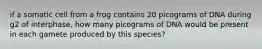 if a somatic cell from a frog contains 20 picograms of DNA during g2 of interphase, how many picograms of DNA would be present in each gamete produced by this species?