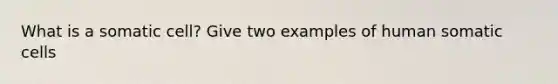 What is a somatic cell? Give two examples of human somatic cells