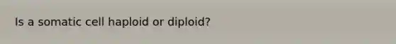 Is a somatic cell haploid or diploid?