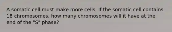 A somatic cell must make more cells. If the somatic cell contains 18 chromosomes, how many chromosomes will it have at the end of the "S" phase?