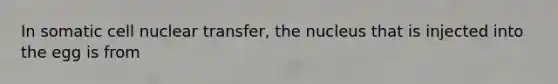 In somatic cell nuclear transfer, the nucleus that is injected into the egg is from