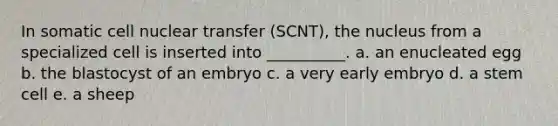 In somatic cell nuclear transfer (SCNT), the nucleus from a specialized cell is inserted into __________. a. an enucleated egg b. the blastocyst of an embryo c. a very early embryo d. a stem cell e. a sheep