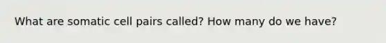 What are somatic cell pairs called? How many do we have?
