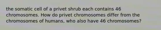 the somatic cell of a privet shrub each contains 46 chromosomes. How do privet chromosomes differ from the chromosomes of humans, who also have 46 chromosomes?