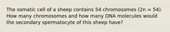 The somatic cell of a sheep contains 54 chromosomes (2n = 54). How many chromosomes and how many DNA molecules would the secondary spermatocyte of this sheep have?