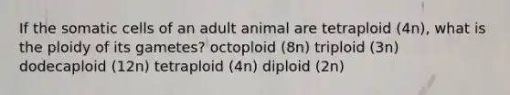 If the somatic cells of an adult animal are tetraploid (4n), what is the ploidy of its gametes? octoploid (8n) triploid (3n) dodecaploid (12n) tetraploid (4n) diploid (2n)