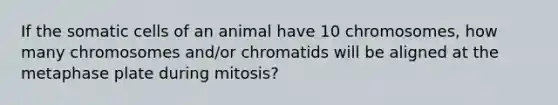 If the somatic cells of an animal have 10 chromosomes, how many chromosomes and/or chromatids will be aligned at the metaphase plate during mitosis?