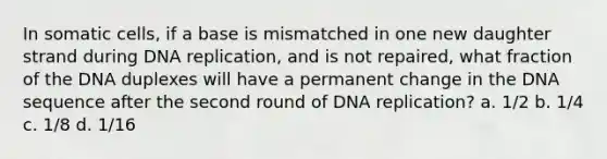 In somatic cells, if a base is mismatched in one new daughter strand during DNA replication, and is not repaired, what fraction of the DNA duplexes will have a permanent change in the DNA sequence after the second round of DNA replication? a. 1/2 b. 1/4 c. 1/8 d. 1/16