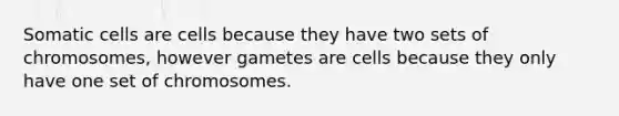 Somatic cells are cells because they have two sets of chromosomes, however gametes are cells because they only have one set of chromosomes.