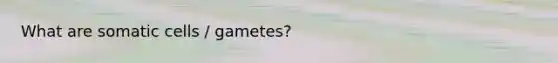 What are somatic cells / gametes?