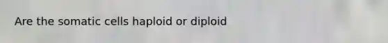 Are the somatic cells haploid or diploid