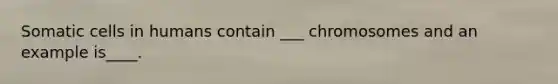 Somatic cells in humans contain ___ chromosomes and an example is____.