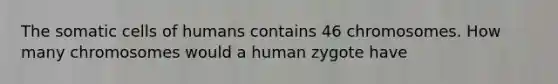 The somatic cells of humans contains 46 chromosomes. How many chromosomes would a human zygote have