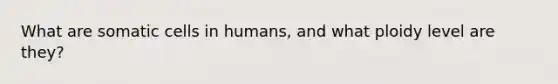 What are somatic cells in humans, and what ploidy level are they?