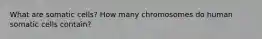 What are somatic cells? How many chromosomes do human somatic cells contain?