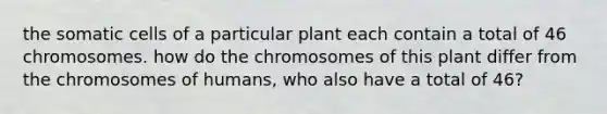 the somatic cells of a particular plant each contain a total of 46 chromosomes. how do the chromosomes of this plant differ from the chromosomes of humans, who also have a total of 46?