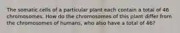 The somatic cells of a particular plant each contain a total of 46 chromosomes. How do the chromosomes of this plant differ from the chromosomes of humans, who also have a total of 46?