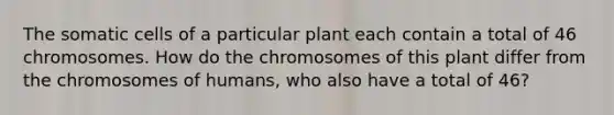 The somatic cells of a particular plant each contain a total of 46 chromosomes. How do the chromosomes of this plant differ from the chromosomes of humans, who also have a total of 46?