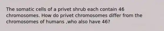 The somatic cells of a privet shrub each contain 46 chromosomes. How do privet chromosomes differ from the chromosomes of humans ,who also have 46?