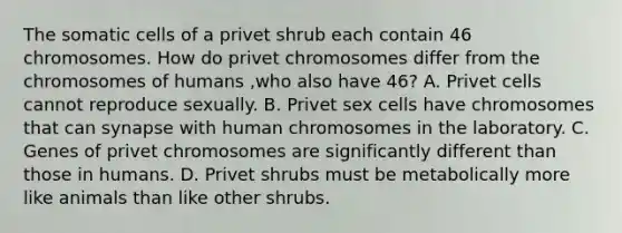 The somatic cells of a privet shrub each contain 46 chromosomes. How do privet chromosomes differ from the chromosomes of humans ,who also have 46? A. Privet cells cannot reproduce sexually. B. Privet sex cells have chromosomes that can synapse with human chromosomes in the laboratory. C. Genes of privet chromosomes are significantly different than those in humans. D. Privet shrubs must be metabolically more like animals than like other shrubs.