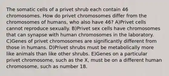 The somatic cells of a privet shrub each contain 46 chromosomes. How do privet chromosomes differ from the chromosomes of humans, who also have 46? A)Privet cells cannot reproduce sexually. B)Privet sex cells have chromosomes that can synapse with human chromosomes in the laboratory. C)Genes of privet chromosomes are significantly different from those in humans. D)Privet shrubs must be metabolically more like animals than like other shrubs. E)Genes on a particular privet chromosome, such as the X, must be on a different human chromosome, such as number 18.