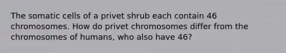 The somatic cells of a privet shrub each contain 46 chromosomes. How do privet chromosomes differ from the chromosomes of humans, who also have 46?