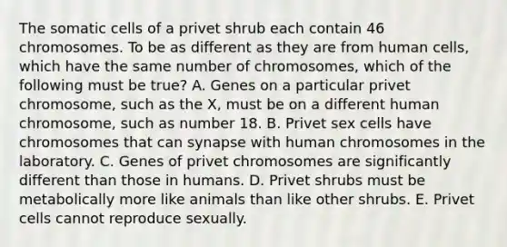 The somatic cells of a privet shrub each contain 46 chromosomes. To be as different as they are from human cells, which have the same number of chromosomes, which of the following must be true? A. Genes on a particular privet chromosome, such as the X, must be on a different human chromosome, such as number 18. B. Privet sex cells have chromosomes that can synapse with human chromosomes in the laboratory. C. Genes of privet chromosomes are significantly different than those in humans. D. Privet shrubs must be metabolically more like animals than like other shrubs. E. Privet cells cannot reproduce sexually.