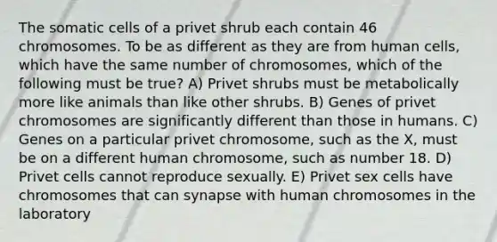 The somatic cells of a privet shrub each contain 46 chromosomes. To be as different as they are from human cells, which have the same number of chromosomes, which of the following must be true? A) Privet shrubs must be metabolically more like animals than like other shrubs. B) Genes of privet chromosomes are significantly different than those in humans. C) Genes on a particular privet chromosome, such as the X, must be on a different human chromosome, such as number 18. D) Privet cells cannot reproduce sexually. E) Privet sex cells have chromosomes that can synapse with human chromosomes in the laboratory