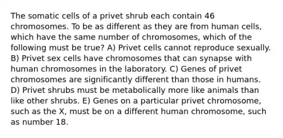 The somatic cells of a privet shrub each contain 46 chromosomes. To be as different as they are from human cells, which have the same number of chromosomes, which of the following must be true? A) Privet cells cannot reproduce sexually. B) Privet sex cells have chromosomes that can synapse with human chromosomes in the laboratory. C) Genes of privet chromosomes are significantly different than those in humans. D) Privet shrubs must be metabolically more like animals than like other shrubs. E) Genes on a particular privet chromosome, such as the X, must be on a different human chromosome, such as number 18.