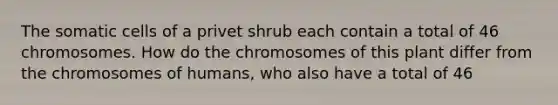 The somatic cells of a privet shrub each contain a total of 46 chromosomes. How do the chromosomes of this plant differ from the chromosomes of humans, who also have a total of 46