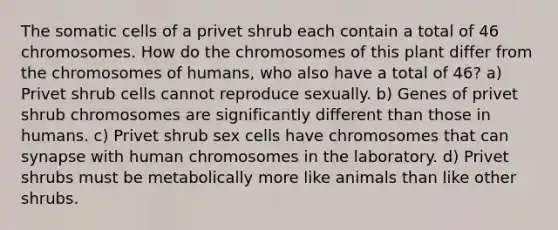 The somatic cells of a privet shrub each contain a total of 46 chromosomes. How do the chromosomes of this plant differ from the chromosomes of humans, who also have a total of 46? a) Privet shrub cells cannot reproduce sexually. b) Genes of privet shrub chromosomes are significantly different than those in humans. c) Privet shrub sex cells have chromosomes that can synapse with human chromosomes in the laboratory. d) Privet shrubs must be metabolically more like animals than like other shrubs.