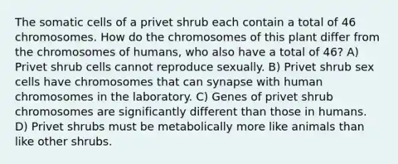 The somatic cells of a privet shrub each contain a total of 46 chromosomes. How do the chromosomes of this plant differ from the chromosomes of humans, who also have a total of 46? A) Privet shrub cells cannot reproduce sexually. B) Privet shrub sex cells have chromosomes that can synapse with human chromosomes in the laboratory. C) Genes of privet shrub chromosomes are significantly different than those in humans. D) Privet shrubs must be metabolically more like animals than like other shrubs.