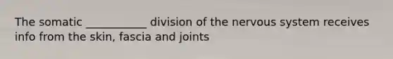 The somatic ___________ division of the nervous system receives info from the skin, fascia and joints