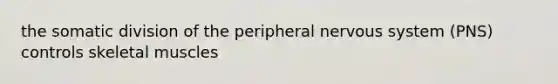 the somatic division of the peripheral nervous system (PNS) controls skeletal muscles