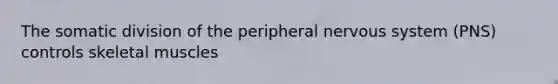 The somatic division of the peripheral nervous system (PNS) controls skeletal muscles