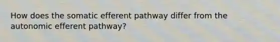 How does the somatic efferent pathway differ from the autonomic efferent pathway?