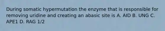 During somatic hypermutation the enzyme that is responsible for removing uridine and creating an abasic site is A. AID B. UNG C. APE1 D. RAG 1/2