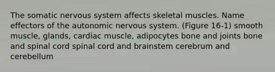 The somatic nervous system affects skeletal muscles. Name effectors of the autonomic nervous system. (Figure 16-1) smooth muscle, glands, cardiac muscle, adipocytes bone and joints bone and spinal cord spinal cord and brainstem cerebrum and cerebellum