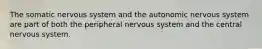 The somatic nervous system and the autonomic nervous system are part of both the peripheral nervous system and the central nervous system.