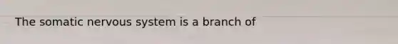 The somatic <a href='https://www.questionai.com/knowledge/kThdVqrsqy-nervous-system' class='anchor-knowledge'>nervous system</a> is a branch of