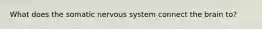 What does the somatic nervous system connect the brain to?
