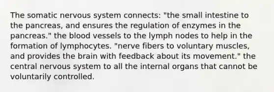 The somatic nervous system connects: "<a href='https://www.questionai.com/knowledge/kt623fh5xn-the-small-intestine' class='anchor-knowledge'>the small intestine</a> to the pancreas, and ensures the regulation of enzymes in the pancreas." <a href='https://www.questionai.com/knowledge/k7oXMfj7lk-the-blood' class='anchor-knowledge'>the blood</a> vessels to the lymph nodes to help in the formation of lymphocytes. "nerve fibers to voluntary muscles, and provides <a href='https://www.questionai.com/knowledge/kLMtJeqKp6-the-brain' class='anchor-knowledge'>the brain</a> with feedback about its movement." the central nervous system to all the internal organs that cannot be voluntarily controlled.