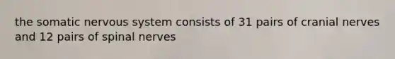 the somatic nervous system consists of 31 pairs of cranial nerves and 12 pairs of spinal nerves