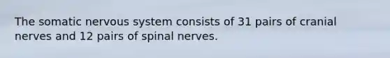 The somatic nervous system consists of 31 pairs of cranial nerves and 12 pairs of spinal nerves.